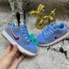 Nike Sb Dunk